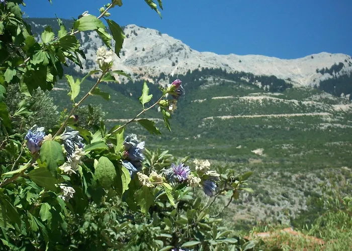 Ramona * Lourdata (Kefalonia)