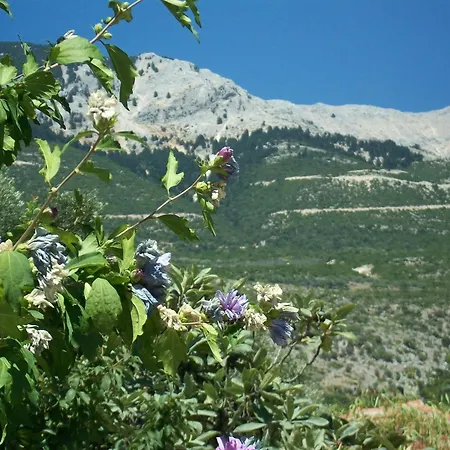 Ramona * Lourdata (Kefalonia)